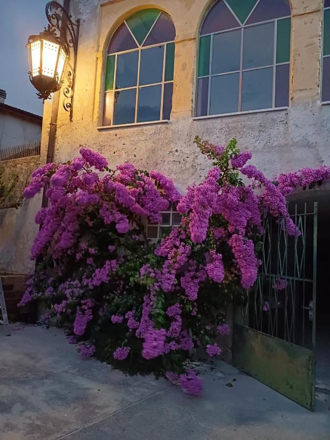 Corte Averaldo سان فيليتْشي ديل بيناكو المظهر الخارجي الصورة